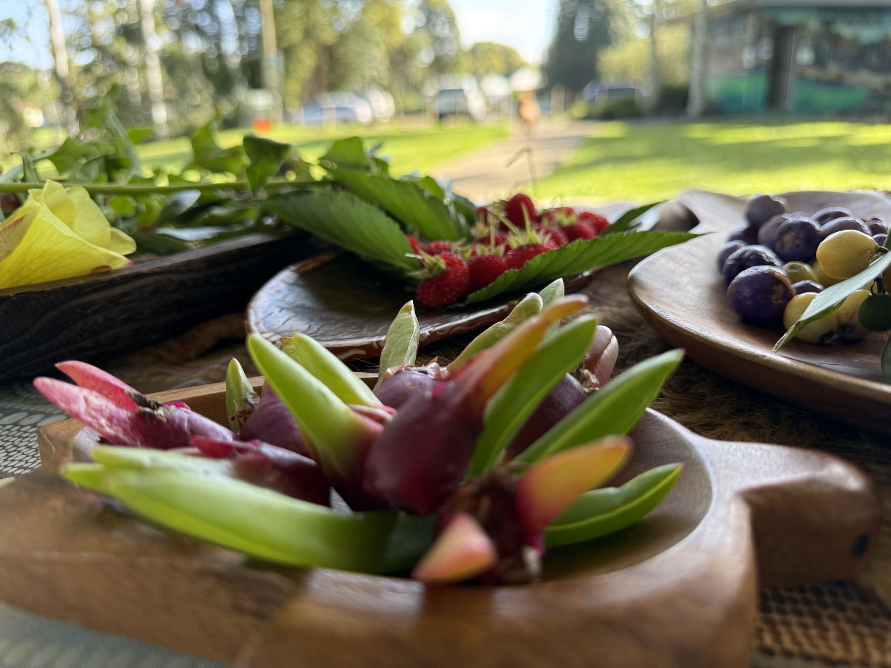Wooden bowls of lilly pilly, native raspberries and greens on Delta Kay's bush food table